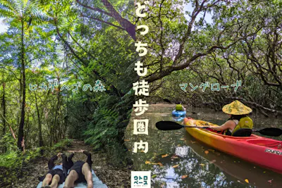 奄美/半日/秘密基地】マングローブカヤック＆ヒカゲヘゴの森散策ツアー