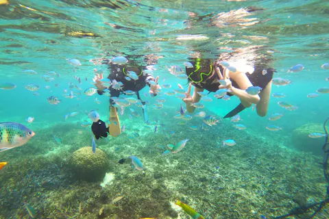 【今帰仁村・美ら海水族館近く・古宇利島】 ガイドおすすめ絶景ポイントでビーチエントリーシュノーケリング♪