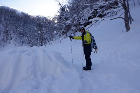 【ニセコ・スノーシュー】雪深いニセコの森の中をスノーシューをはいてゆっくり探索します。雪国ならではの幻想的な風景をお楽しみいただけます！