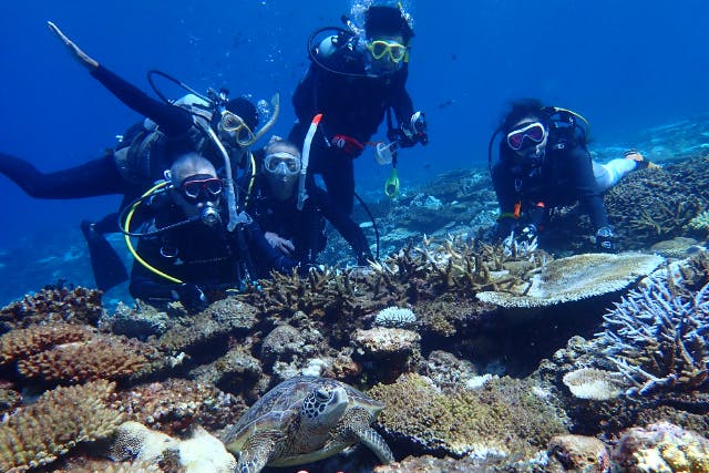 【沖縄・那覇・ファンダイビング・ボートダイビング】ファンダイビング初心者～上級者までＯＫ！★シニアダイバーも大歓迎