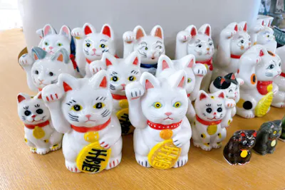 埼玉・所沢・絵付け】招き猫の絵付け体験｜アソビュー！