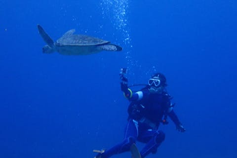 【沖縄・那覇・体験ダイビング・ボートダイビング】1日を効率的に満喫できる半日便！AM発・PM発あり★半日は海を満喫、残りの半日は観光もできる便利な那覇から出港