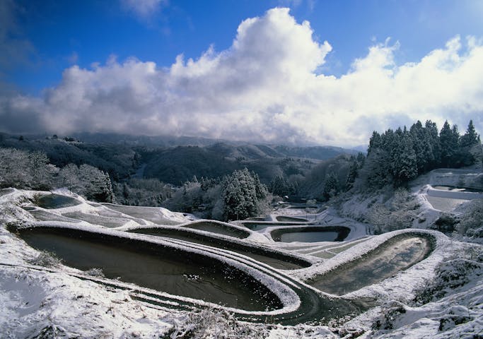 闘牛と錦鯉の伝統文化会館