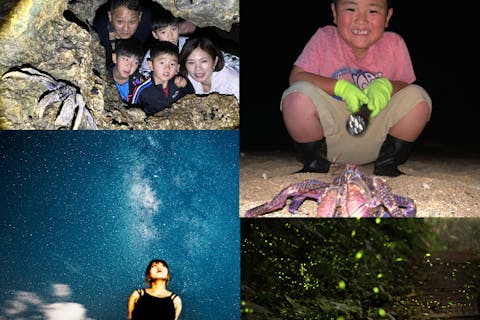 ＜ヤシガニ遭遇99％＞星空フォト＆ナイトサファリ＆濡れないマングローブ探検／絶滅危惧種ヤシガニ見れなきゃ全額返金保証有