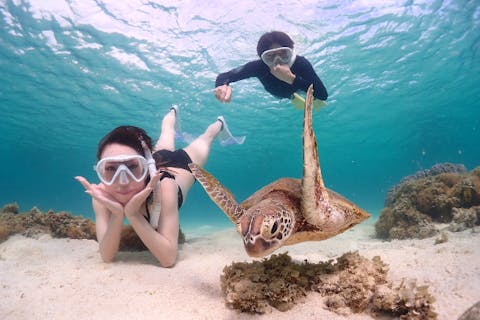 【宮古島/完全貸切】ライフジャケット不要！更に近くで【ウミガメシュノーケリング】★送迎相談可！★撮影データ無料！★当日予約OK！