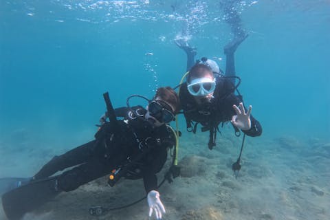 【和歌山・串本　体験ダイビング】通年開催　ライセンス不要　サンゴ礁のある海で体験ダイビング　１ダイブ　ご家族・グループ・カップル大歓迎（レンタル込・送迎あり）