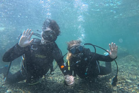 【和歌山・串本　体験ダイビング】通年開催　ライセンス不要　サンゴ礁のある海で体験ダイビング　１ダイブ　ご家族・グループ・カップル大歓迎（レンタル込・送迎あり）