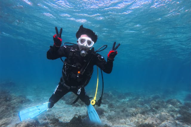 【和歌山・串本　体験ダイビング】通年開催　ライセンス不要　サンゴ礁のある海で体験ダイビング　１ダイブ　ご家族・グループ・カップル大歓迎（レンタル込・送迎あり）