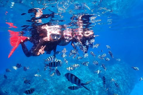 【北谷発・ボートシュノーケル】アメリカンビレッジ近くで沢山の魚やサンゴが見れます。