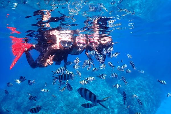 北谷発・ボートシュノーケル】アメリカンビレッジ近くで沢山の魚や