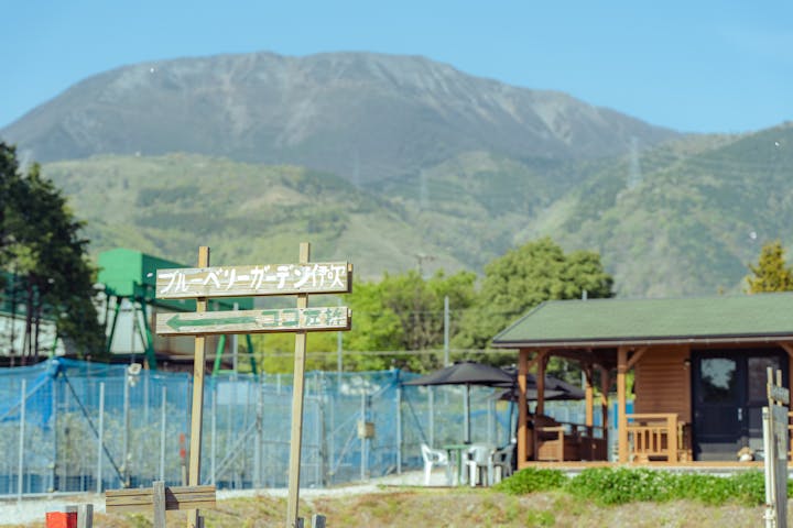 ブルーベリーガーデン伊吹