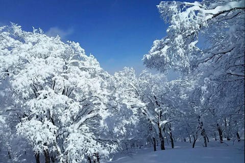 【三重県】御在所岳スノーシューハイキング＜スノーシューストロール＞