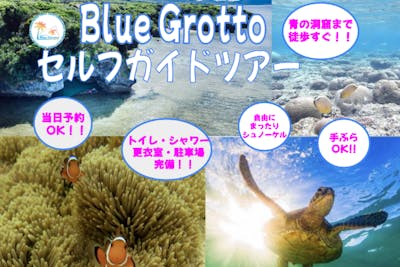 石垣島・シュノーケル】ウミガメ&クマノミに会えるかも！青の洞窟まで