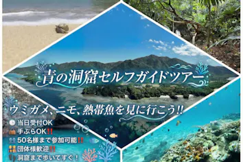 石垣島・シュノーケル】ウミガメ&クマノミに会えるかも！青の洞窟まで