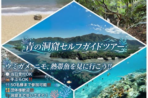 【石垣島・シュノーケル】ウミガメ&クマノミに会えるかも！青の洞窟までショップから徒歩すぐ！手ぶらでOK！シャワー・トイレ・駐車場完備！当日14時まで電話にて受付OK！ガイドなしで自由に！