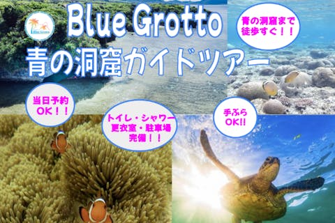【石垣島・シュノーケルガイド】ウミガメ&カクレクマノミに会える！少人数制で安心！青の洞窟までショップから徒歩すぐ！チェックイン前後の空き時間！シャワートイレ・駐車場完備！当日電話にて受付OK！