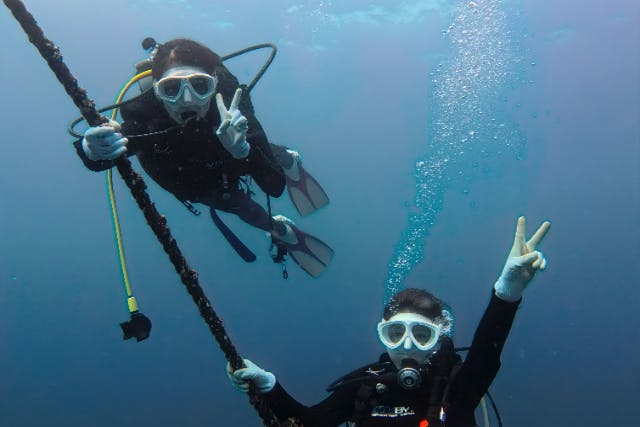【和歌山・串本・ファンダイビング】串本駅より車で約5分！初心者大歓迎！少人数制で安心のサポート体制！本州最南端串本町の海を満喫　2ボートファンダイビング（串本駅までの送迎付き）