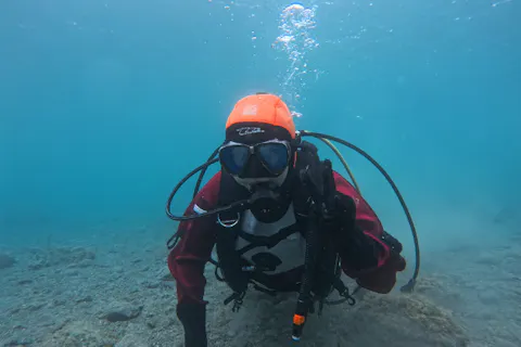 【和歌山・串本・ファンダイビング】串本駅より車で約5分！初心者大歓迎！少人数制で安心のサポート体制！ドライスーツで快適に楽しむ2ボートファンダイビング（串本駅までの送迎付き・レンタル器材込み）
