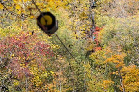 【北海道】沙流川を渡るジップライン&ハイロープ！MAGIC MONKEY TOUR