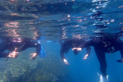 サンゴの楽園でシュノーケリング