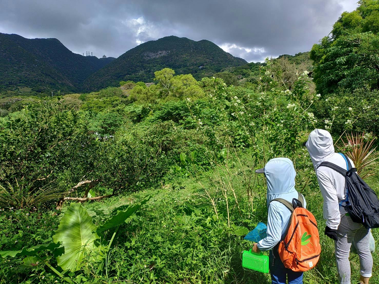 可愛いシーサー専門店 まいまいシーサー
