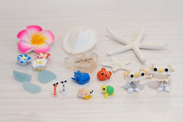 沖縄・宮古島・マリンクラフト】真っ白な天然の貝殻が選び放題！シェル