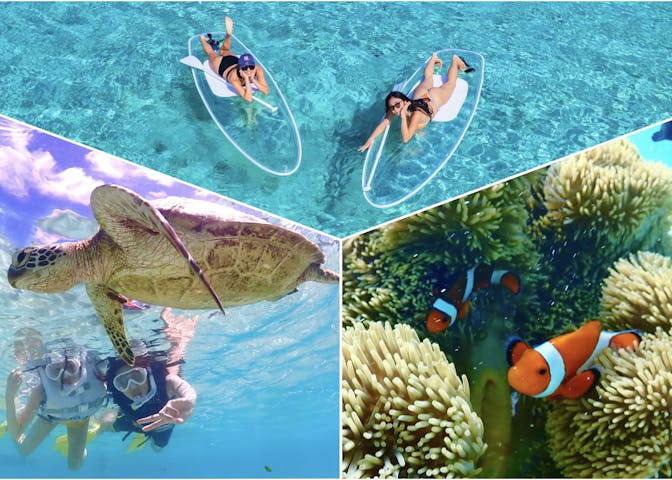 OKIDOKIマリンツアー宮古島