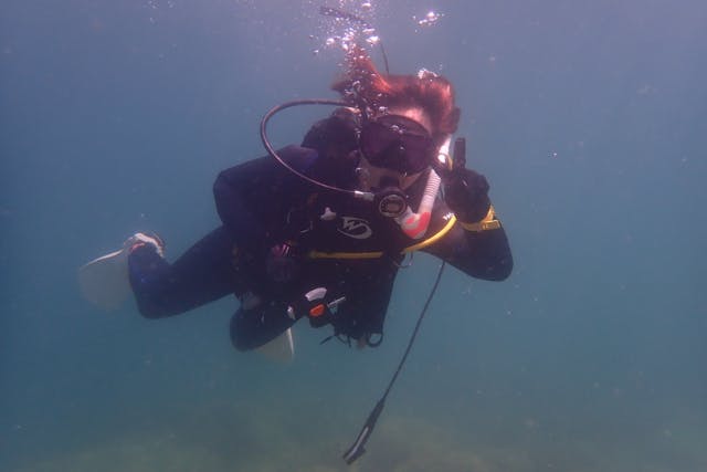 【大阪発・和歌山】ライセンス必須・ビーチ２DIVE★迷子ダイバーwelcome！和歌山の海でリフレッシュダイブ（お一人様参加）