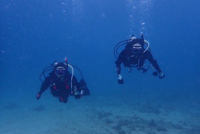 【大阪発・和歌山】ライセンス必須・ビーチ２DIVE★迷子ダイバーwelcome！和歌山の海でリフレッシュダイブ（2人で参加）