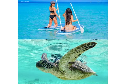 【宮古島】《遭遇率100%継続中》ウミガメシュノーケル&透明クリアSUP☆当日OK☆データ無料☆レンタル無料☆ステッカープレゼント☆