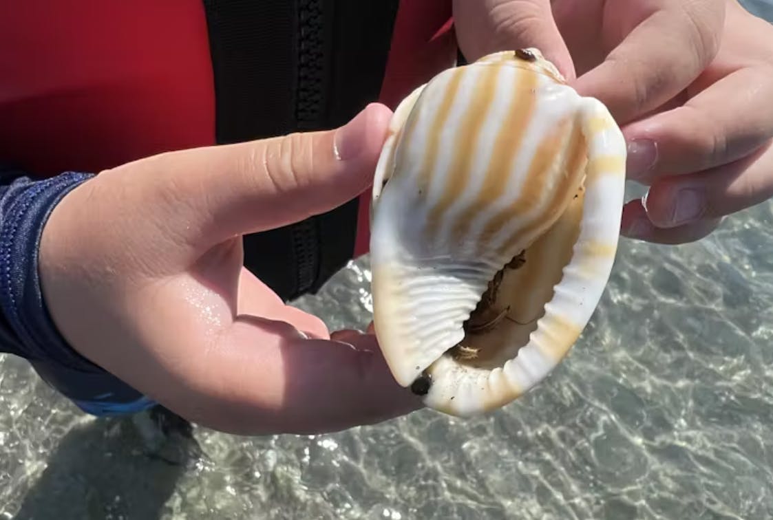 浜名湖パドル