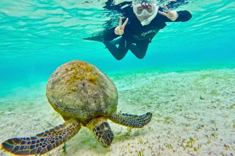 【宮古島/当日予約OK】ウミガメシュノーケル☆カップル・家族利用歓迎‼︎《年齢制限なし・SNS映え☆撮影ﾃﾞｰﾀﾌﾟﾚｾﾞﾝﾄ・体験90分・団体割引有り》【子連れ&高齢者可能】