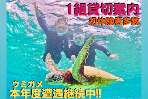 【宮古島/1組貸切】ウミガメシュノーケル《年齢制限なし・送迎無料》【12歳以下￥5900円】ファミリー／カップル利用おすすめ☆2026年ウミガメ遭遇継続中‼》