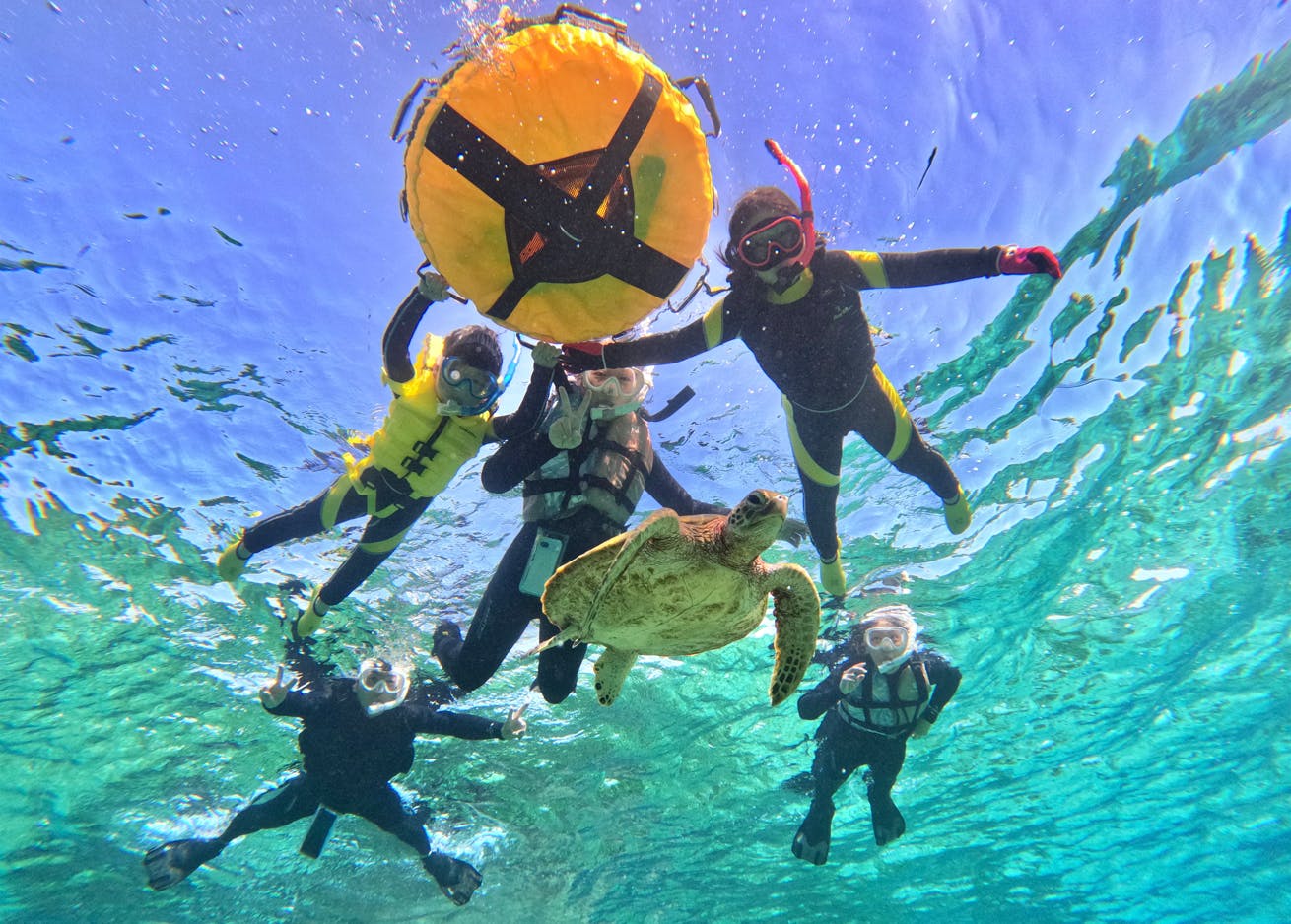 OCEAN LIFE 宮古島
