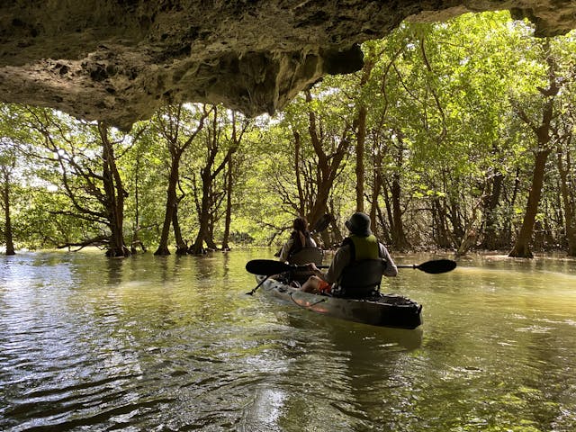 ひかりオーシャンズ