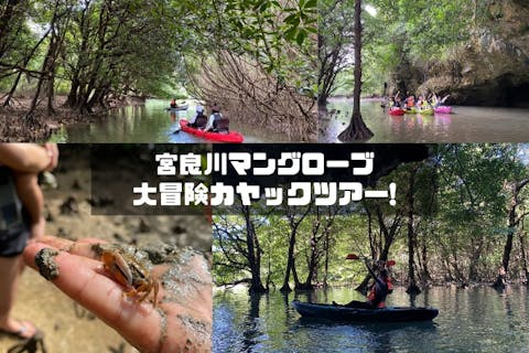新掲載特価！宮良川マングローブカヤック！◆安心の少人数制＆背もたれ付◆【撮影付き/２時間】【団体様可】