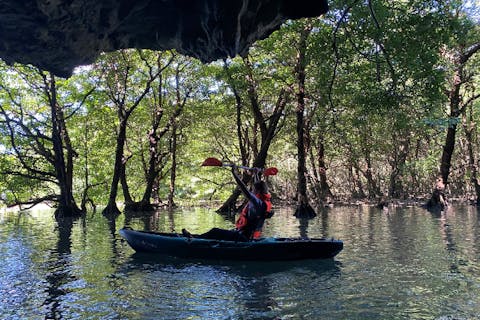 新掲載特価！宮良川マングローブカヤック！◆安心の少人数制＆背もたれ付◆【撮影付き/２時間】【団体様可】