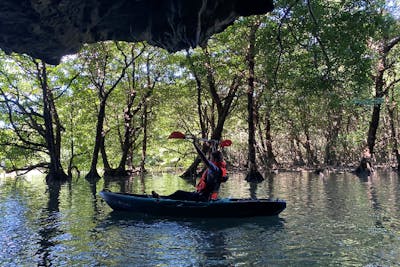 新掲載特価！宮良川マングローブカヤック！◇安心の少人数制＆背もたれ