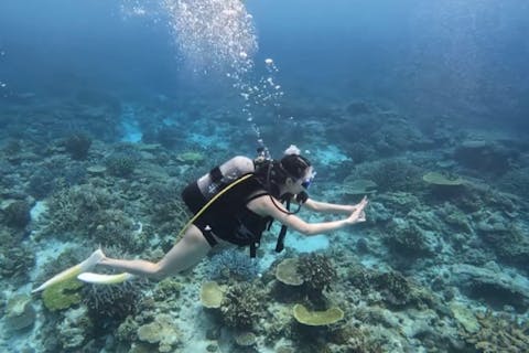 【沖縄・瀬底・水納島・ダイビング】体験ダイビング１DIVE！★初めての方．泳げない方でも安心！少人数制ツアー！