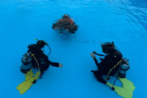【沖縄・北部エリア・ライセンス】ダイバーへの第一歩！オープンウォーターライセンス（PADI）講習！