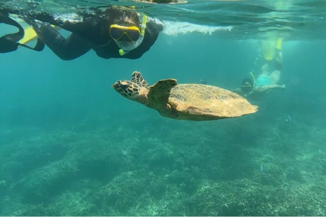 【沖縄・瀬底・水納島・シュノーケリング】★初めての方・泳げない方でも安心！少人数制ツアー！