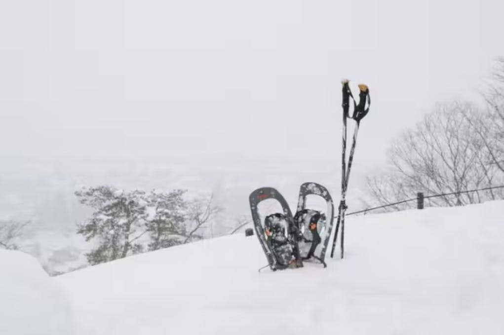 Akita INAKA Travel