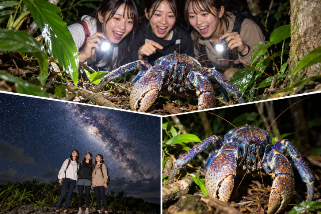 【宮古島ナイトツアー】星空観賞×ヤシガニ探検★アマゾン帰りの男と行く夜のジャングルツアー｜カップル・友達旅行におすすめ