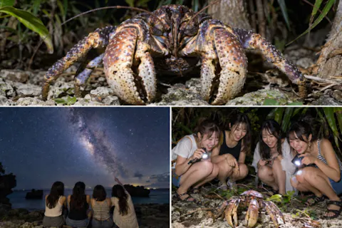 【宮古島ナイトツアー】星空観賞×ヤシガニ探検★アマゾン帰りの男と行く夜のジャングルツアー｜カップル・友達旅行におすすめ