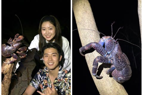 【宮古島・ナイトツアー】※5月末まで2000円！アマゾンから帰ってきた男が案内する、宮古島の夜の生き物探し☆