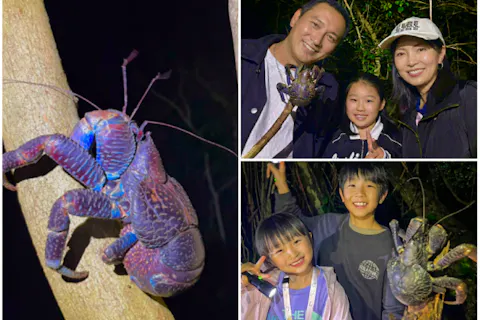 【宮古島｜夜】アマゾン帰りの男といくナイトツアー★一生モノの体験《子供・ファミリー・カップル大歓迎》