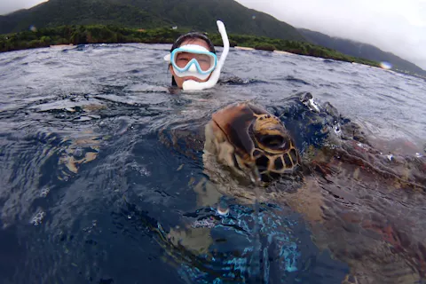 【沖縄・石垣島唯一無二】海亀と泳ぐ感動シュノーケル×バレルサウナ。海あがりに極上のととのいを味わう特別体験ツアー。