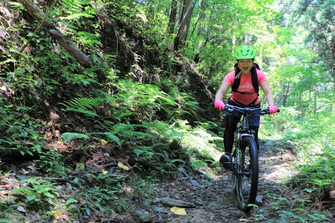 【埼玉・長瀞・マウンテンバイク】体験半日ツアー＜初級＞ 小学4年生から参加OK！レンタル込みで気軽に走れます！