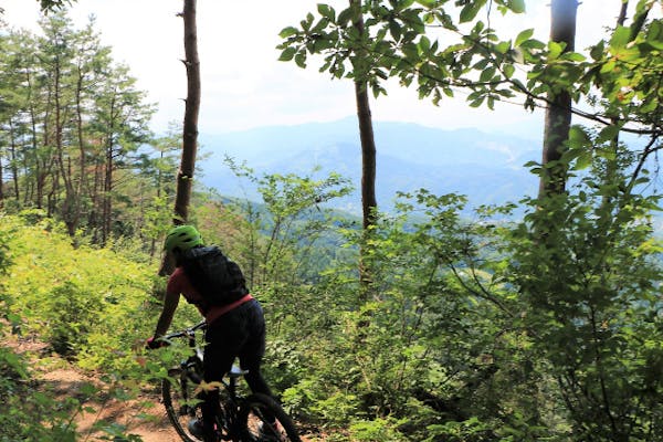 SPORT マウンテンバイク ICグループ ホワイト/グレー/ピンク SPORT