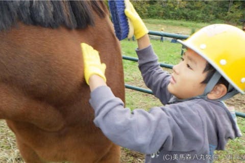 【宮城・奥松島】牧場体験プログラム　自然豊かな牧場で馬たちのお世話体験！